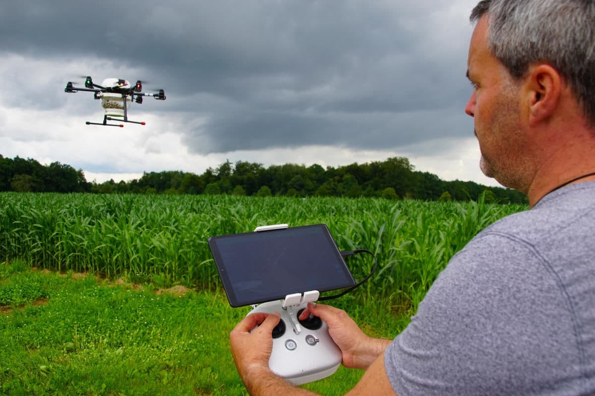 Blick über die Schulter des Piloten auf Fernsteuerung und Tablet, im Hintergrund die Drohne über dem Mais