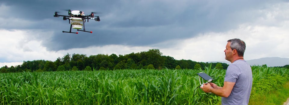 Hexacopter mit Streubehälter über einem Maisfeld, davor der Pilot mit der Fernsteuerung